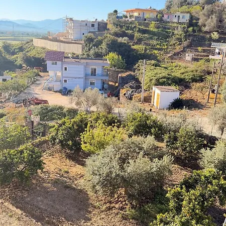 Nemelia House